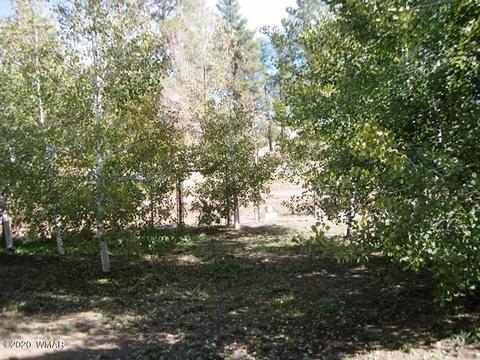 2720 C St, Overgaard, AZ 85933 photo 30