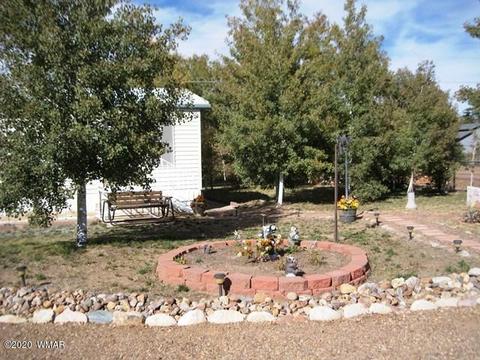 2720 C St, Overgaard, AZ 85933 photo 24