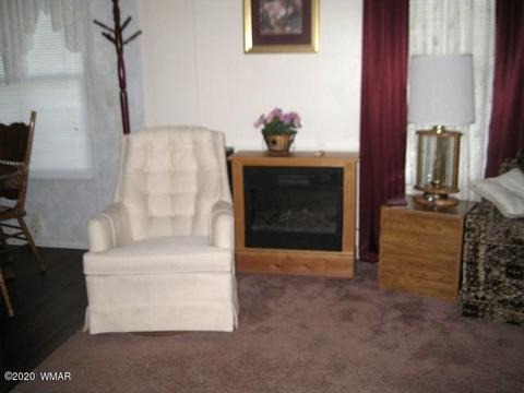 2720 C St, Overgaard, AZ 85933 photo 8
