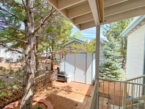 2216 Wrangler Way, Overgaard, AZ 85933 photo 5