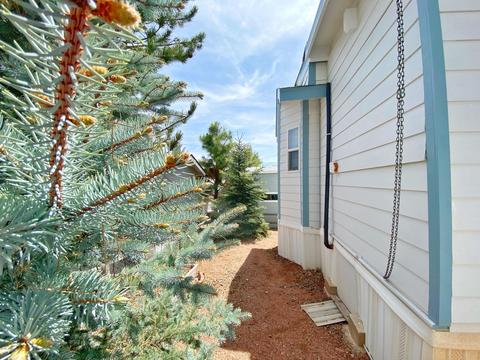 2216 Wrangler Way, Overgaard, AZ 85933 photo 20