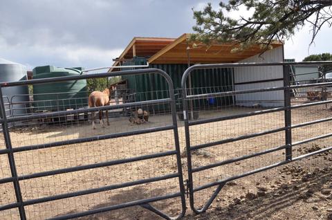 4 N8340, Concho, AZ 85924 photo 18