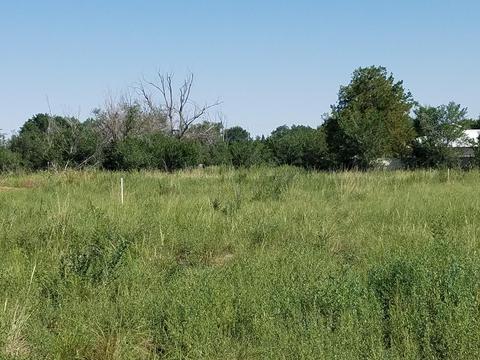 522 N Eagar St, Eagar, AZ 85925 photo 25