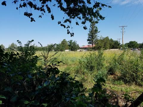 522 N Eagar St, Eagar, AZ 85925 photo 22