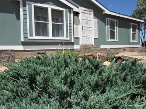 460 S 1st St, Snowflake, AZ 85937 photo 32