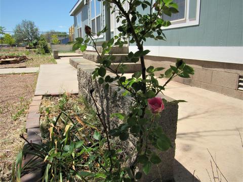 460 S 1st St, Snowflake, AZ 85937 photo 35