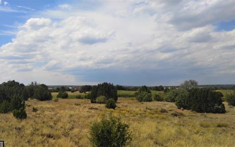 1982 Ridgeway Rd, Show Low, AZ 85901 photo 14