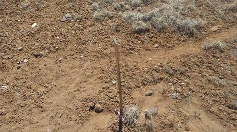 1982 Ridgeway Rd, Show Low, AZ 85901 photo 26