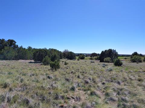 1982 Ridgeway Rd, Show Low, AZ 85901 photo 7