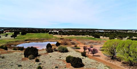 1982 Ridgeway Rd, Show Low, AZ 85901 photo 9