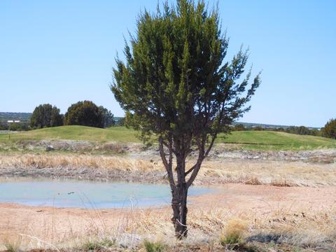 1982 Ridgeway Rd, Show Low, AZ 85901 photo 1