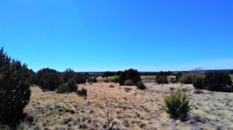 1982 Ridgeway Rd, Show Low, AZ 85901 photo 17