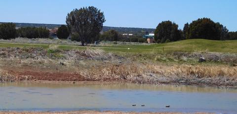 1982 Ridgeway Rd, Show Low, AZ 85901 photo 12