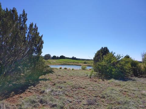 1982 Ridgeway Rd, Show Low, AZ 85901 photo 3