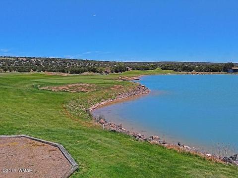 1982 Ridgeway Rd, Show Low, AZ 85901 photo 20