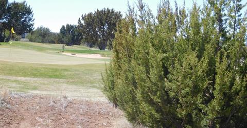 1982 Ridgeway Rd, Show Low, AZ 85901 photo 10