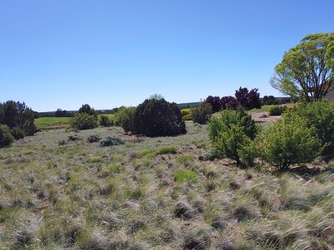 1982 Ridgeway Rd, Show Low, AZ 85901 photo 8
