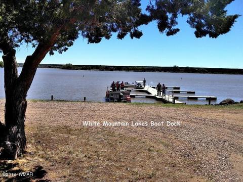 1982 Ridgeway Rd, Show Low, AZ 85901 photo 22