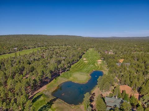 1301 S Jimson Loop, Show Low, AZ 85901 photo 28