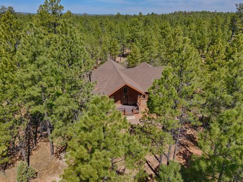 1301 S Jimson Loop, Show Low, AZ 85901 photo 27