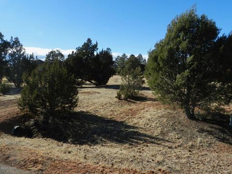 2746 Airpark Dr, Overgaard, AZ 85933 photo 10