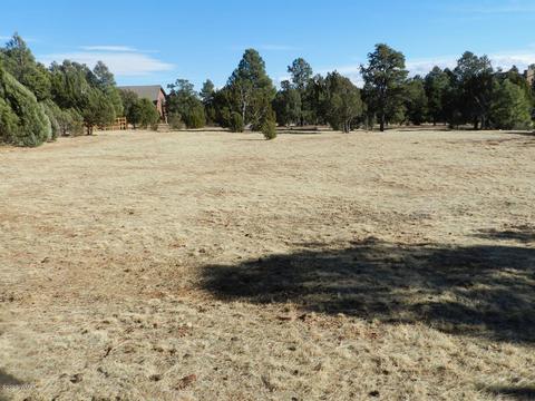 2746 Airpark Dr, Overgaard, AZ 85933 photo 12
