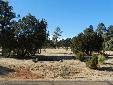 2746 Airpark Dr, Overgaard, AZ 85933 photo 9