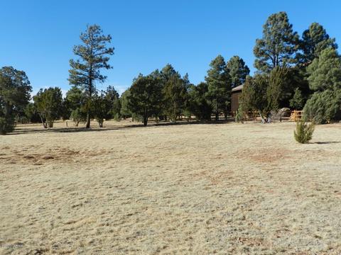 2746 Airpark Dr, Overgaard, AZ 85933 photo 8