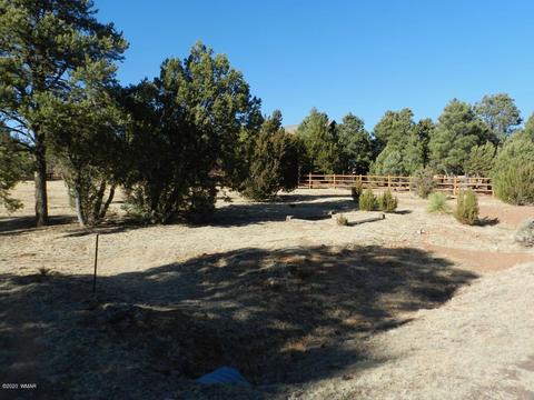 2746 Airpark Dr, Overgaard, AZ 85933 photo 4