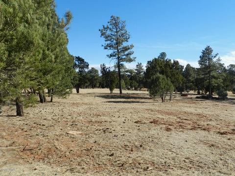 2746 Airpark Dr, Overgaard, AZ 85933 photo 5