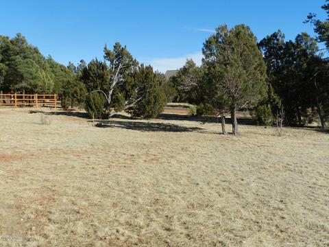 2746 Airpark Dr, Overgaard, AZ 85933 photo 3