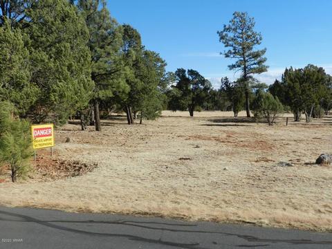 2746 Airpark Dr, Overgaard, AZ 85933 photo 6
