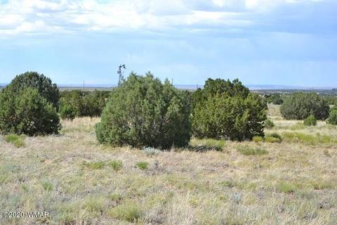 4524 E Pinto Rd, Snowflake, AZ 85937 photo 11
