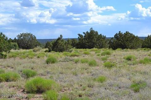 4524 E Pinto Rd, Snowflake, AZ 85937 photo 10