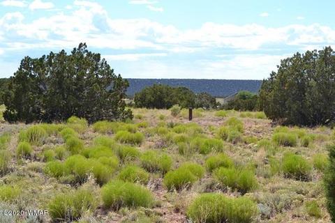 4524 E Pinto Rd, Snowflake, AZ 85937 photo 9