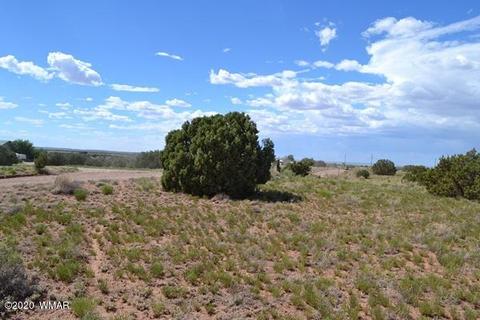 4524 E Pinto Rd, Snowflake, AZ 85937 photo 5