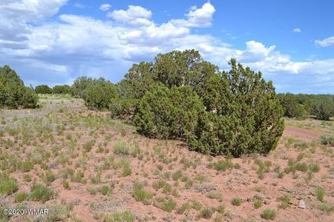4524 E Pinto Rd, Snowflake, AZ 85937 photo 1