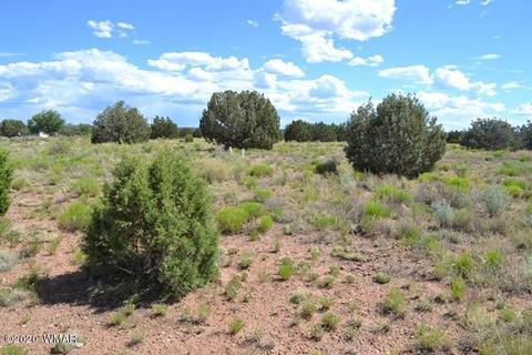 4524 E Pinto Rd, Snowflake, AZ 85937 photo 8
