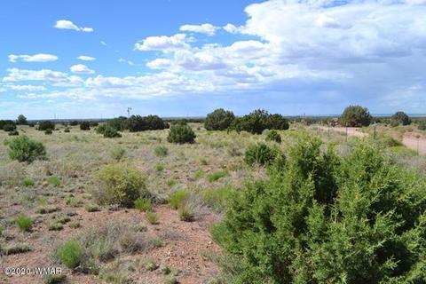 4524 E Pinto Rd, Snowflake, AZ 85937 photo 6