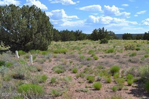 4524 E Pinto Rd, Snowflake, AZ 85937 photo 12
