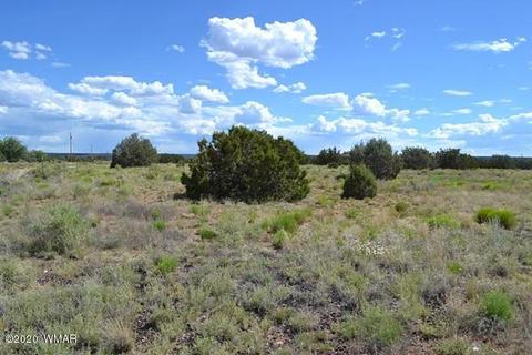 4524 E Pinto Rd, Snowflake, AZ 85937 photo 7