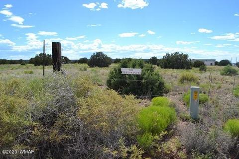 4524 E Pinto Rd, Snowflake, AZ 85937 photo 13