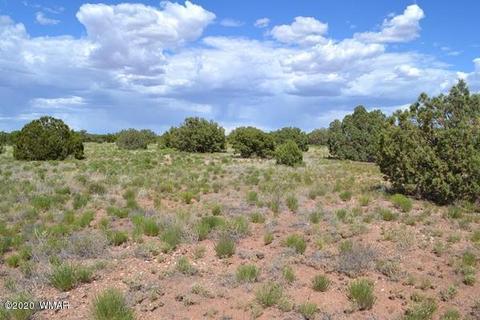 4524 E Pinto Rd, Snowflake, AZ 85937 photo 4