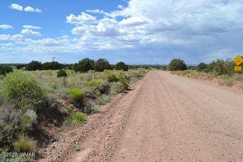4524 E Pinto Rd, Snowflake, AZ 85937 photo 2