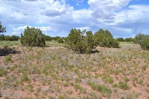 4524 E Pinto Rd, Snowflake, AZ 85937 photo 3