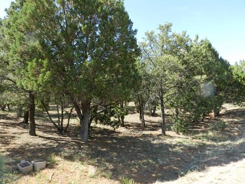 2764 Apollo Cir, Overgaard, AZ 85933 photo 17