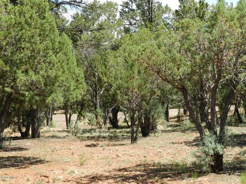 2764 Apollo Cir, Overgaard, AZ 85933 photo 12