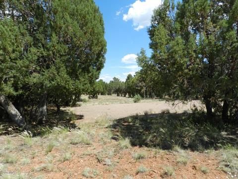 2764 Apollo Cir, Overgaard, AZ 85933 photo 4