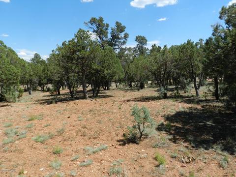 2764 Apollo Cir, Overgaard, AZ 85933 photo 10