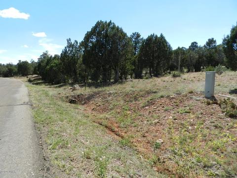 2764 Apollo Cir, Overgaard, AZ 85933 photo 14